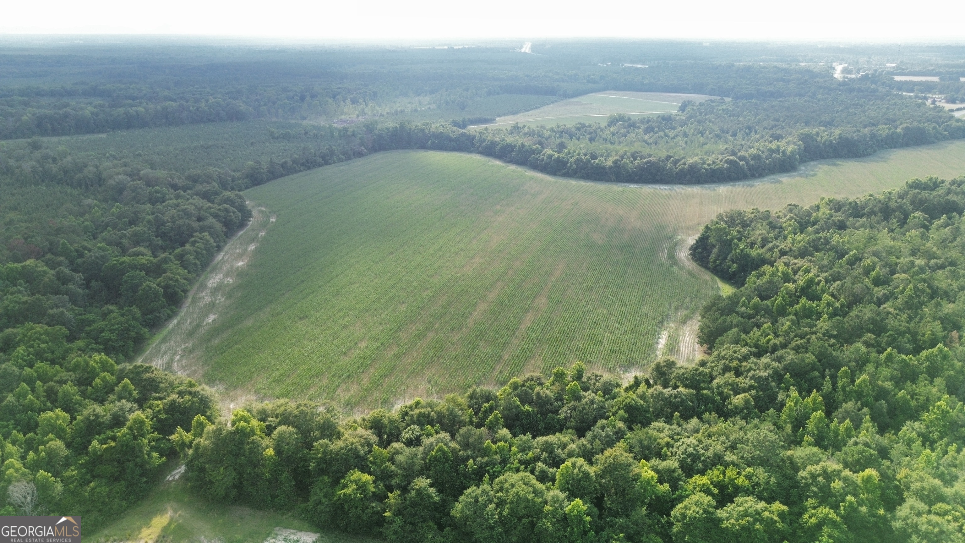 1665 Walke Dairy Road Dublin, GA 31021 - Photo 19 of 94