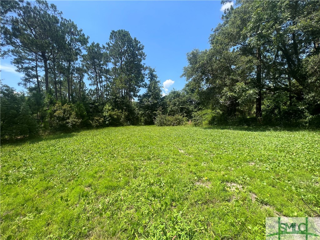 420 Place In The Country Road Hinesville, GA 31313 - Photo 28 of 39 Gallery Image 28
