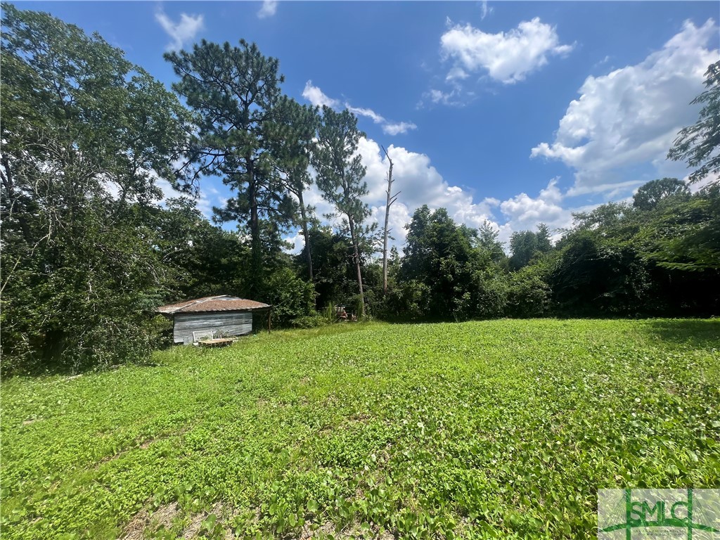 420 Place In The Country Road Hinesville, GA 31313 - Photo 29 of 39 Gallery Image 29