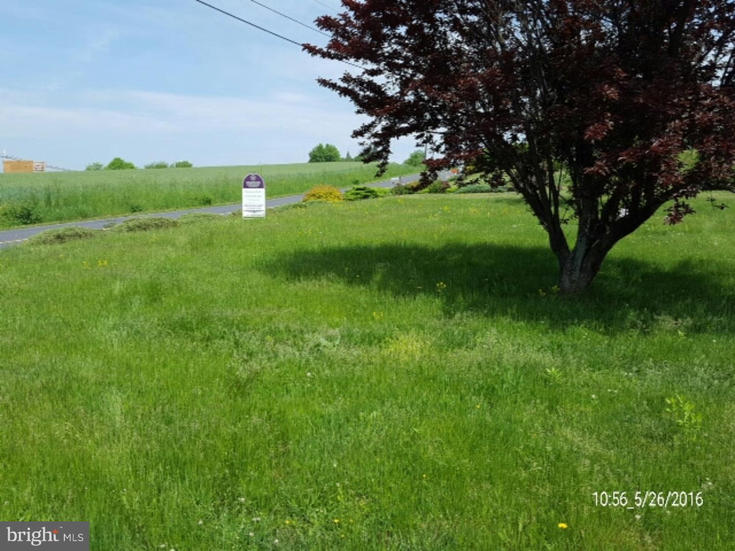 36 Reedsville Road Schuylkill Haven, PA 17972 - Photo 5 of 15 Front Yard
