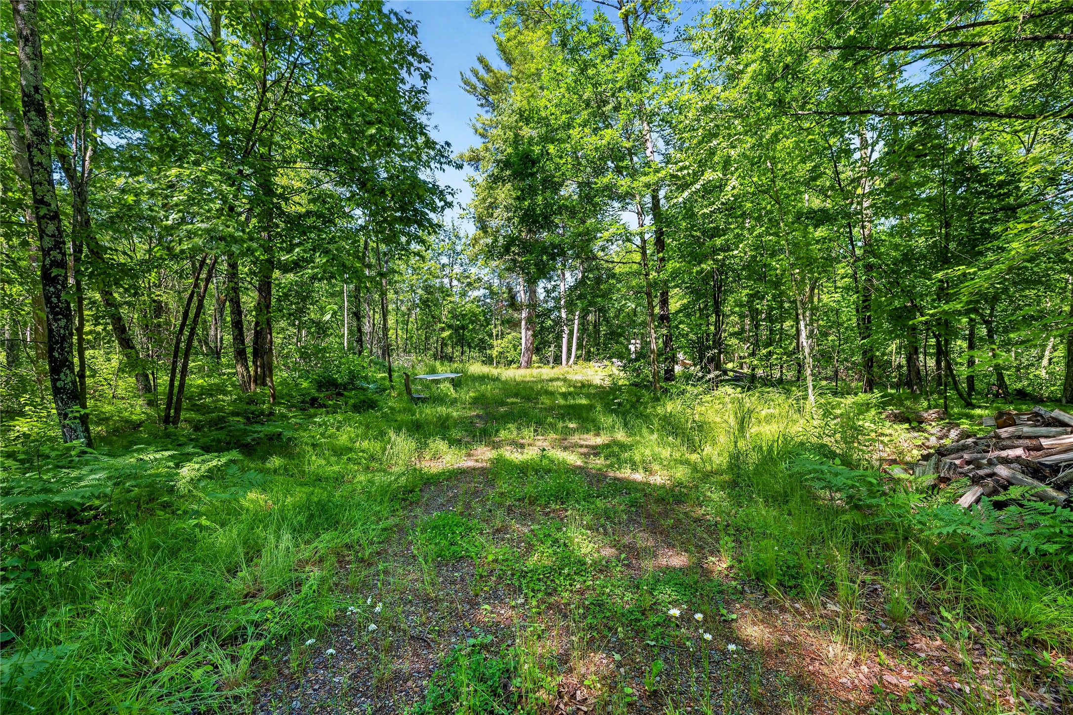 8.92-acres Little Valley Road Spooner, WI 54801 - Photo 7 of 29
