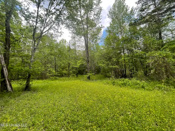 $92,500 | 6095 County Road 23, Louin, MS 39338