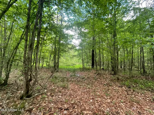 $92,500 | 6095 County Road 23, Louin, MS 39338