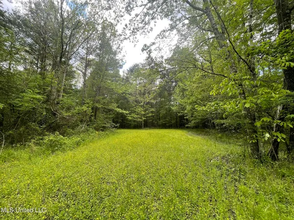 $92,500 | 6095 County Road 23, Louin, MS 39338