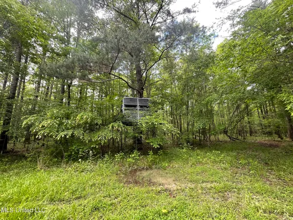 $92,500 | 6095 County Road 23, Louin, MS 39338