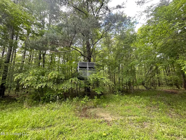 $92,500 | 6095 County Road 23, Louin, MS 39338