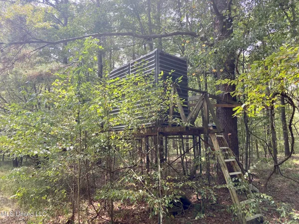 $92,500 | 6095 County Road 23, Louin, MS 39338
