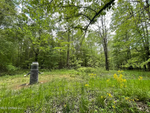 $92,500 | 6095 County Road 23, Louin, MS 39338