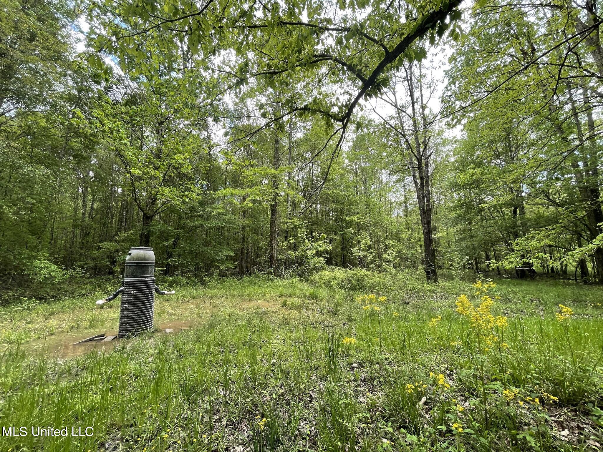 6095 County Road 23 Louin, MS 39338 - Photo 27 of 48 IMG_1377