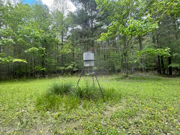 $92,500 | 6095 County Road 23, Louin, MS 39338