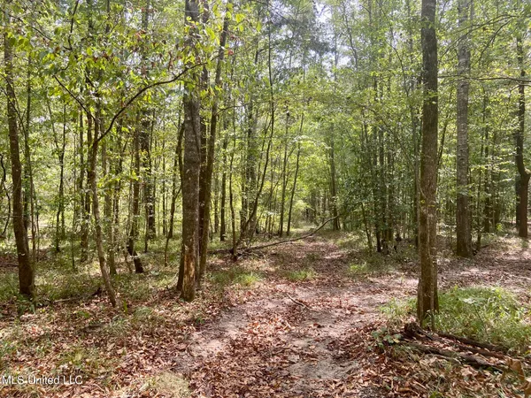 $92,500 | 6095 County Road 23, Louin, MS 39338