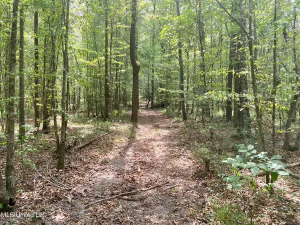 $92,500 | 6095 County Road 23, Louin, MS 39338