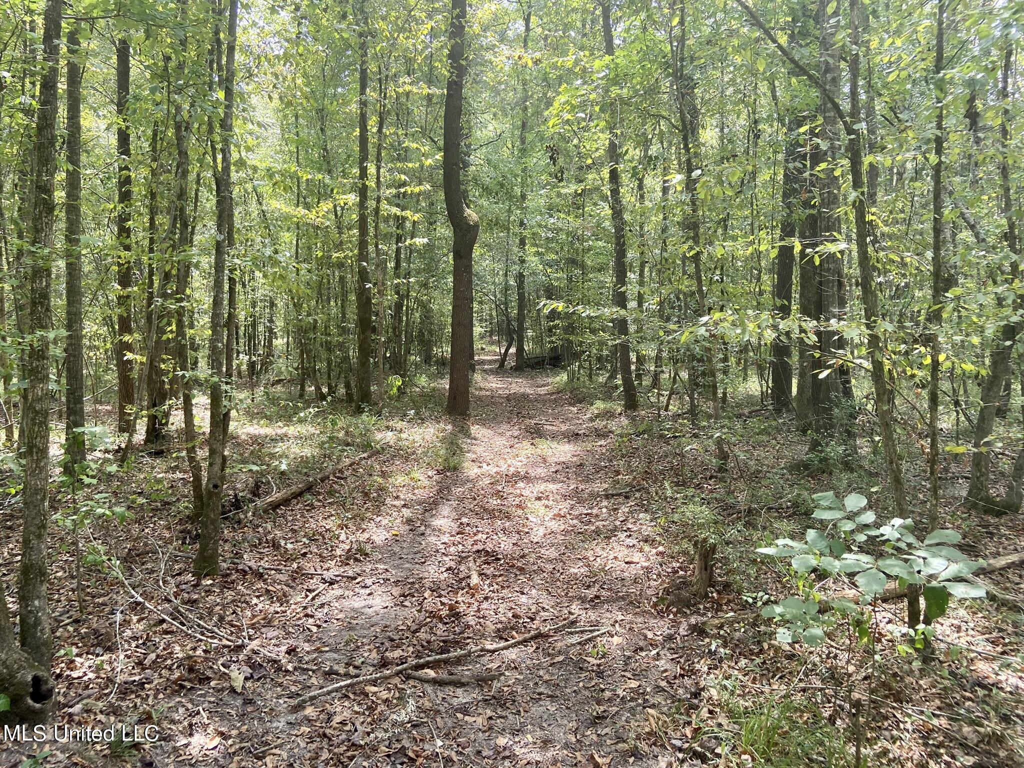 6095 County Road 23 Louin, MS 39338 - Photo 31 of 48 IMG_0395