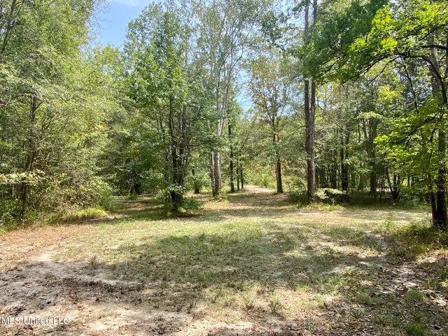 $92,500 | 6095 County Road 23, Louin, MS 39338