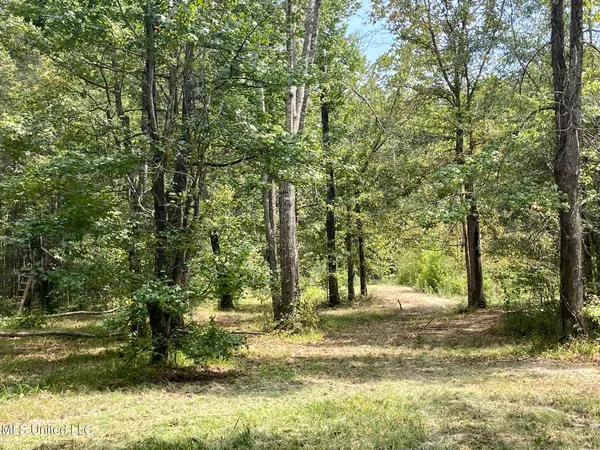 $92,500 | 6095 County Road 23, Louin, MS 39338