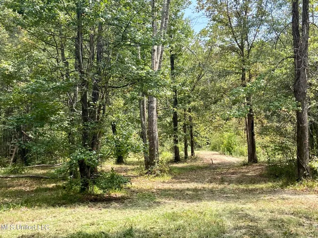 $92,500 | 6095 County Road 23, Louin, MS 39338