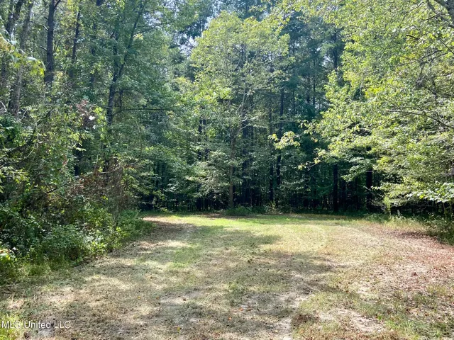 $92,500 | 6095 County Road 23, Louin, MS 39338