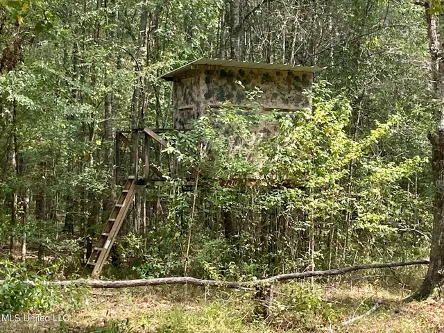 $92,500 | 6095 County Road 23, Louin, MS 39338