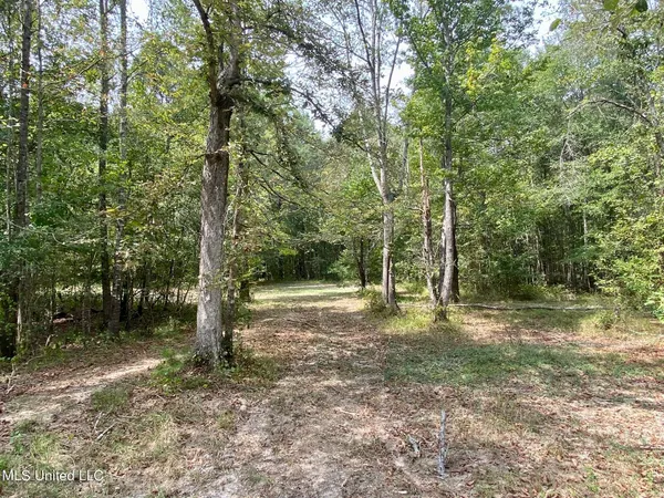 $92,500 | 6095 County Road 23, Louin, MS 39338