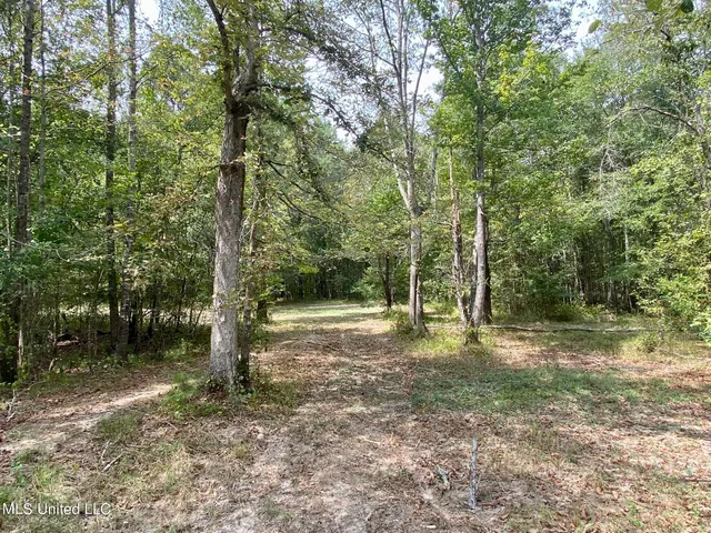 $92,500 | 6095 County Road 23, Louin, MS 39338