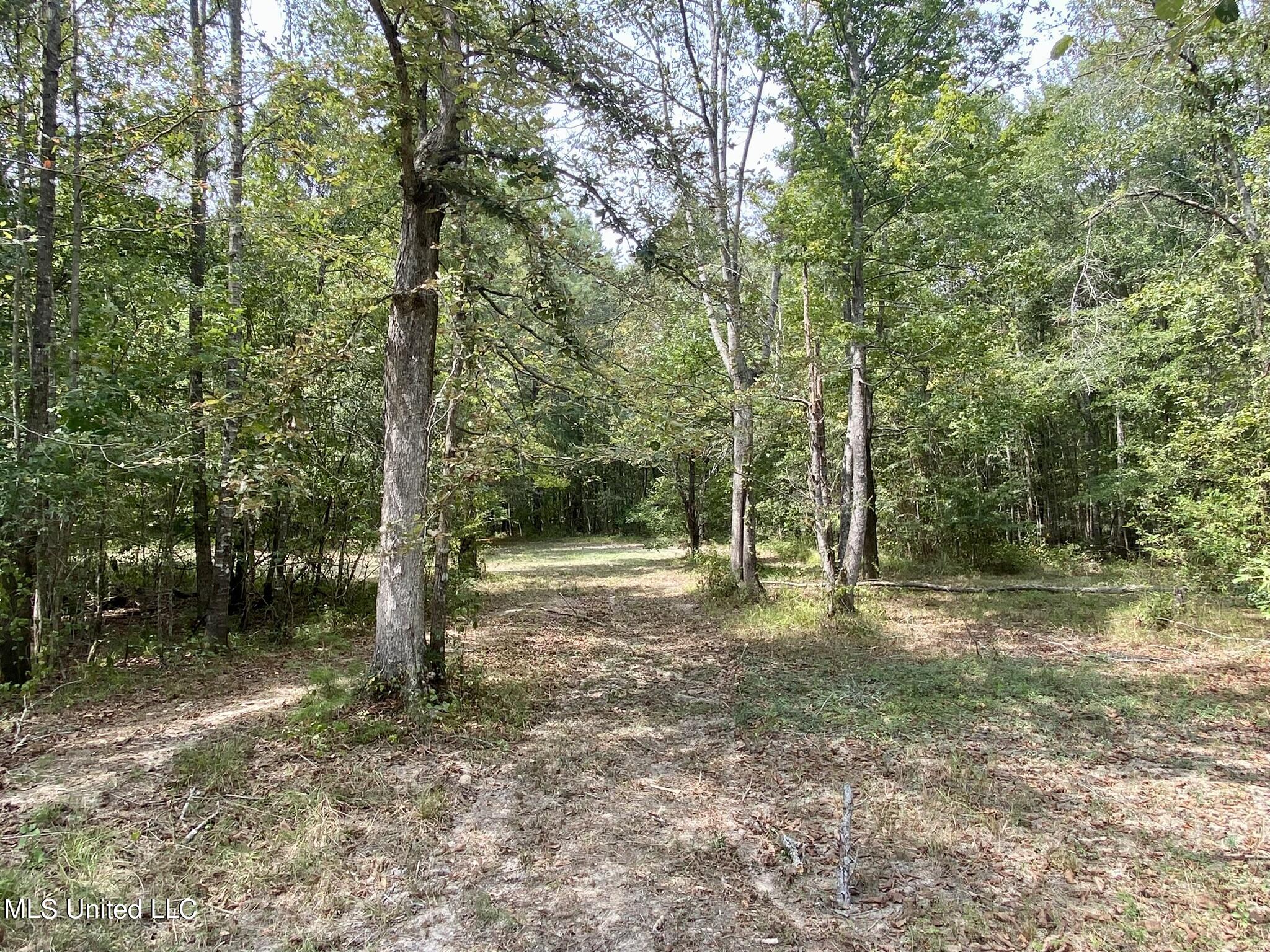 6095 County Road 23 Louin, MS 39338 - Photo 36 of 48 IMG_0422