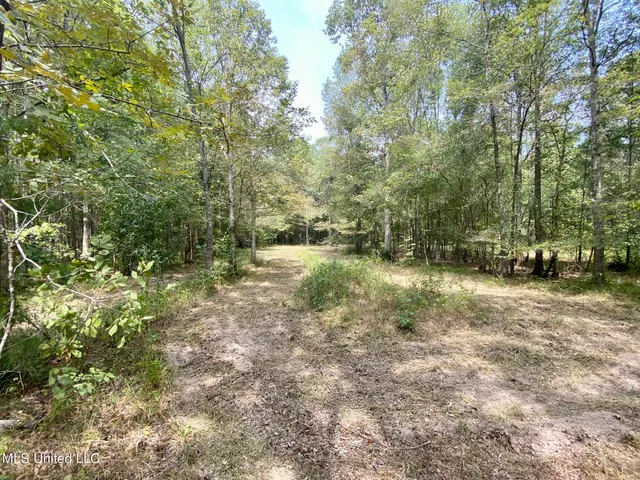 $92,500 | 6095 County Road 23, Louin, MS 39338