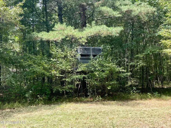 $92,500 | 6095 County Road 23, Louin, MS 39338
