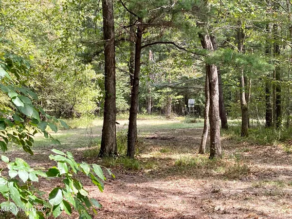 $92,500 | 6095 County Road 23, Louin, MS 39338