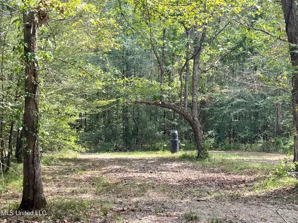 $92,500 | 6095 County Road 23, Louin, MS 39338