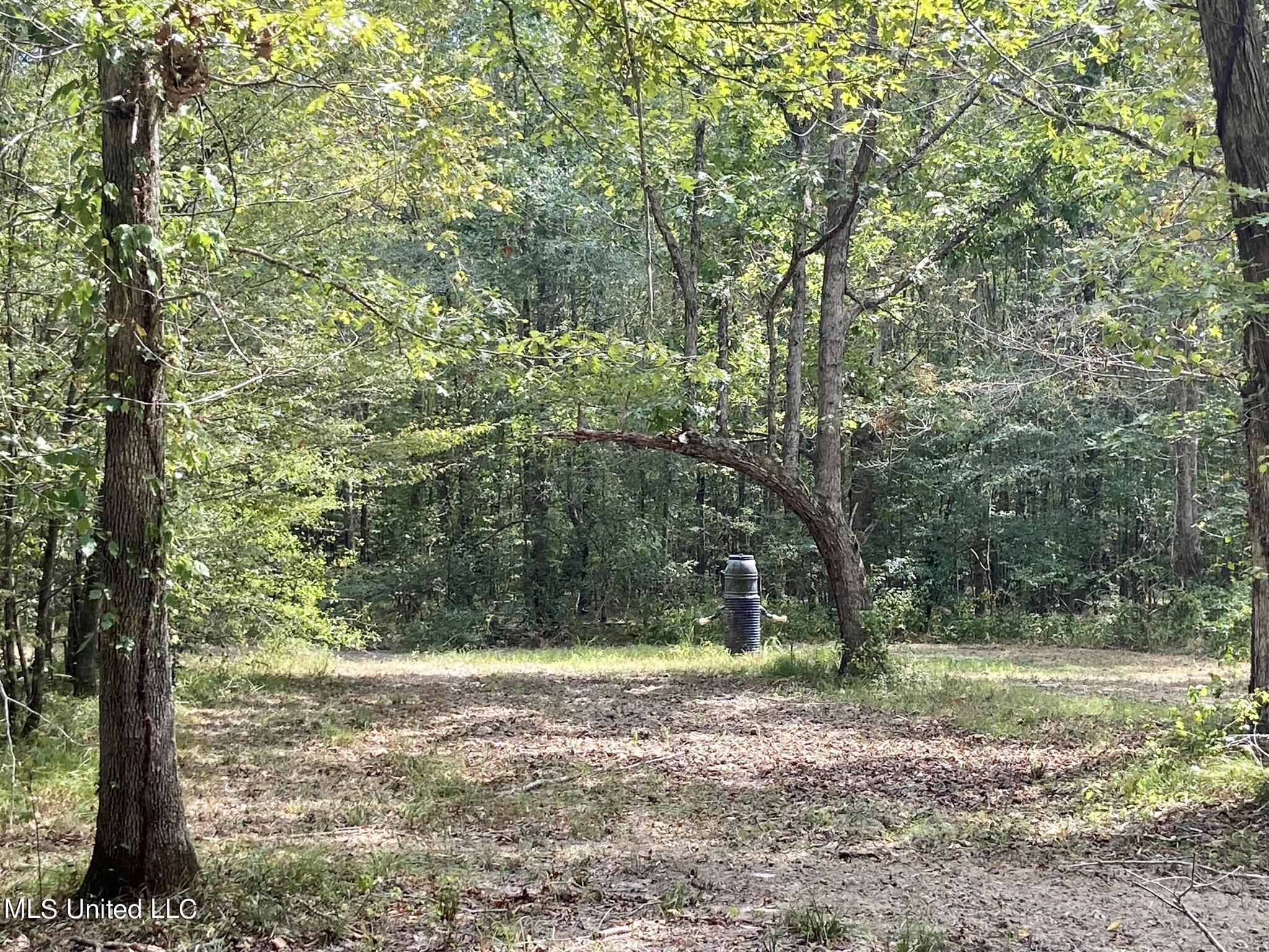 6095 County Road 23 Louin, MS 39338 - Photo 40 of 48 IMG_0432