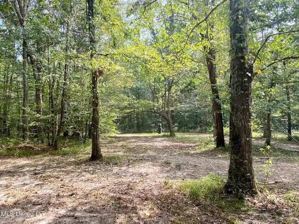 $92,500 | 6095 County Road 23, Louin, MS 39338