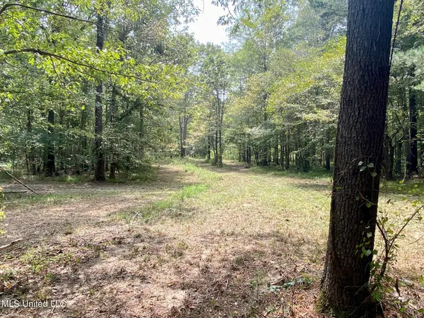 $92,500 | 6095 County Road 23, Louin, MS 39338