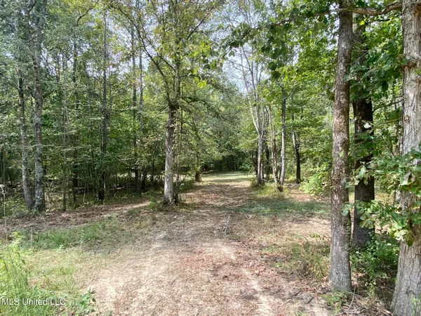 $92,500 | 6095 County Road 23, Louin, MS 39338