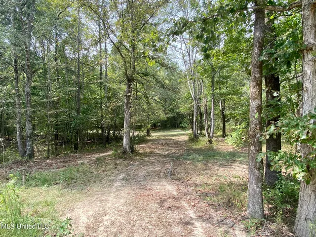 $92,500 | 6095 County Road 23, Louin, MS 39338