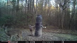 $92,500 | 6095 County Road 23, Louin, MS 39338