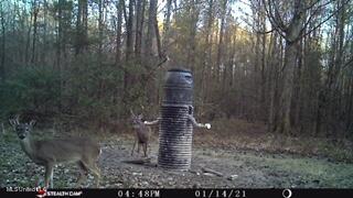 6095 County Road 23 Louin, MS 39338 - Photo 44 of 48 thumbnail_STC_0023