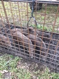 $92,500 | 6095 County Road 23, Louin, MS 39338