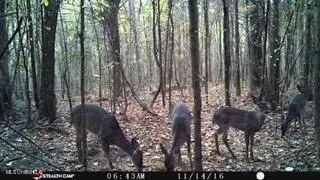 $92,500 | 6095 County Road 23, Louin, MS 39338