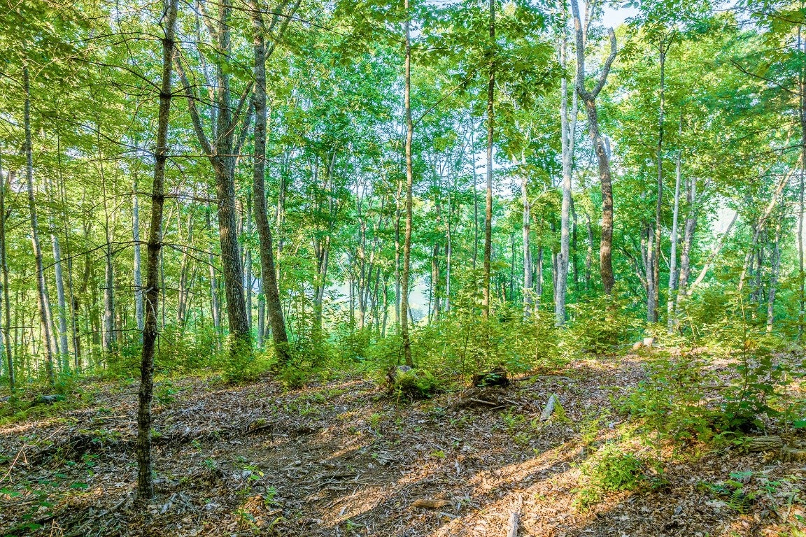 8 South Ridgeline Road Sylva, NC 28779 - Photo 7 of 19 Gallery Image 7