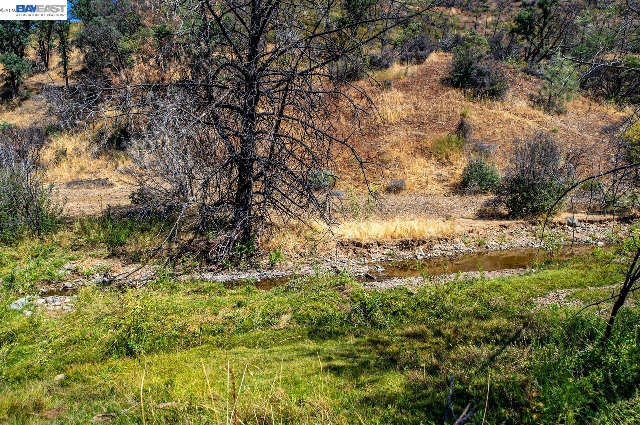 51000 Mines Road Livermore, CA 94550 - Photo 14 of 37