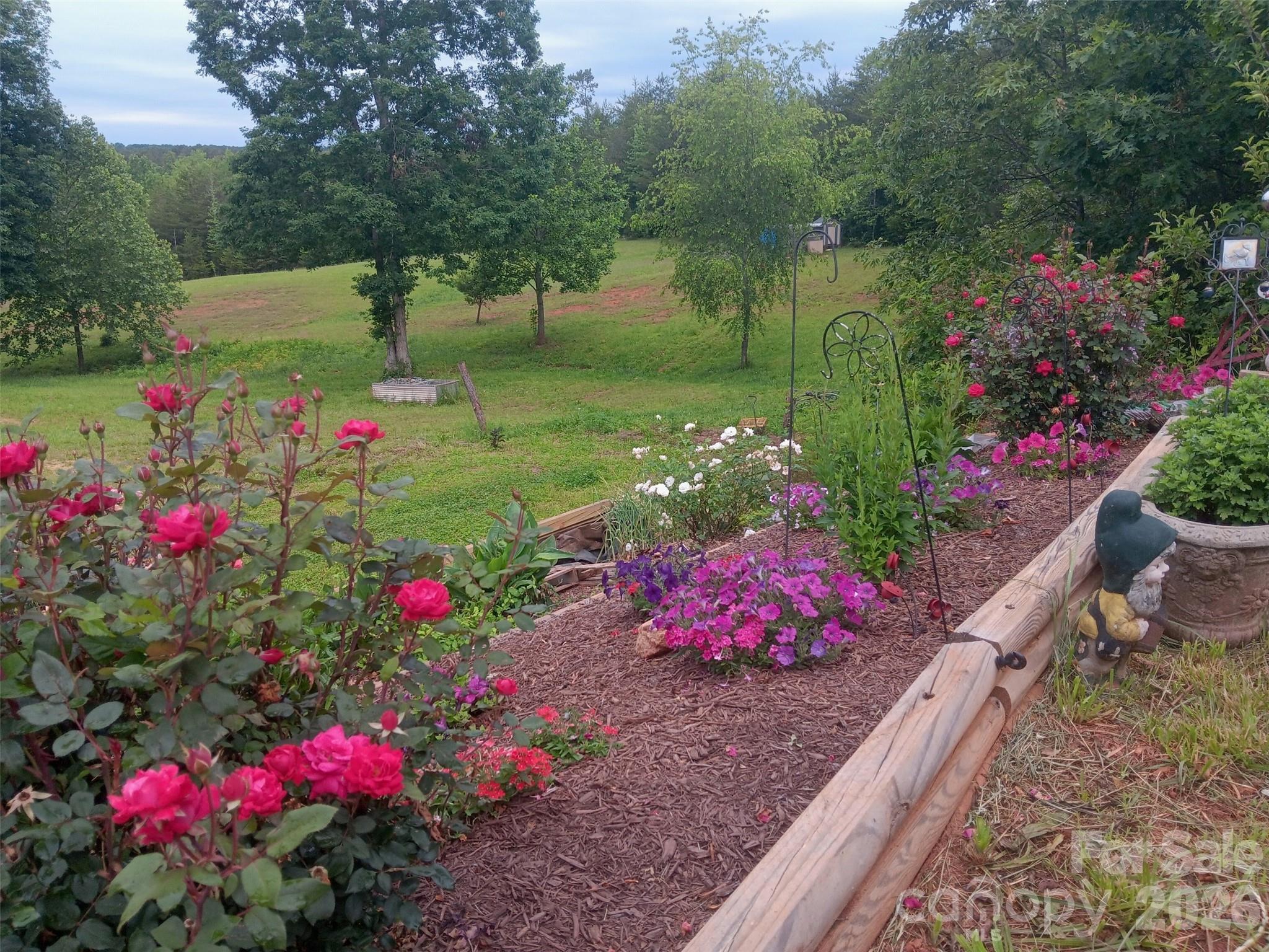 303 Terry Road Ellenboro, NC 28040 - Photo 41 of 47