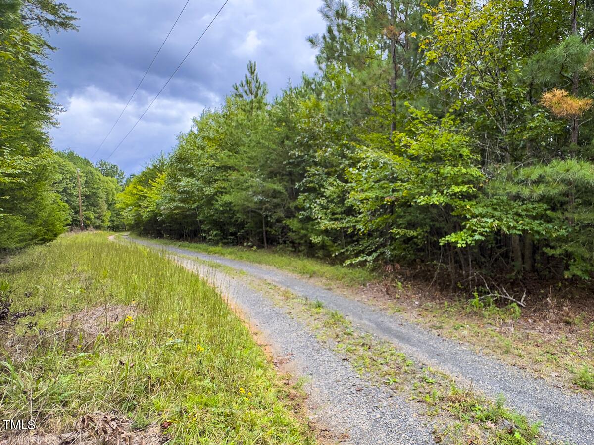 Lot-8-00 Wilson Road Providence, NC 27315 - Photo 14 of 45 Caswell Co. NC 16.55-Backwoods-Lot 8-14
