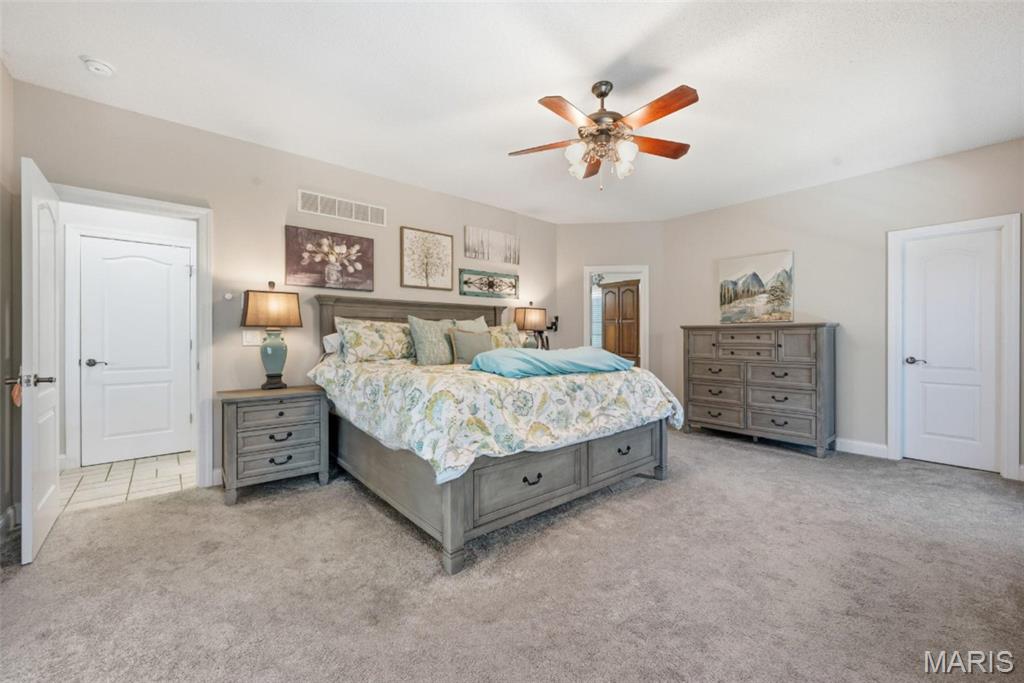 1225 Gate Road Festus, MO 63028 - Photo 29 of 75