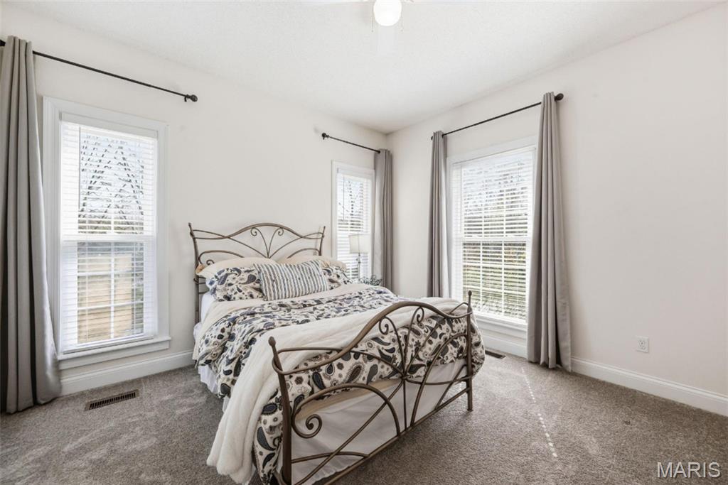 1225 Gate Road Festus, MO 63028 - Photo 36 of 75