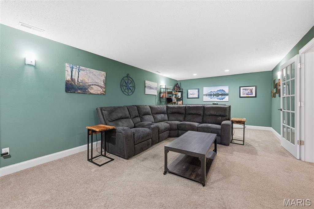 1225 Gate Road Festus, MO 63028 - Photo 46 of 75