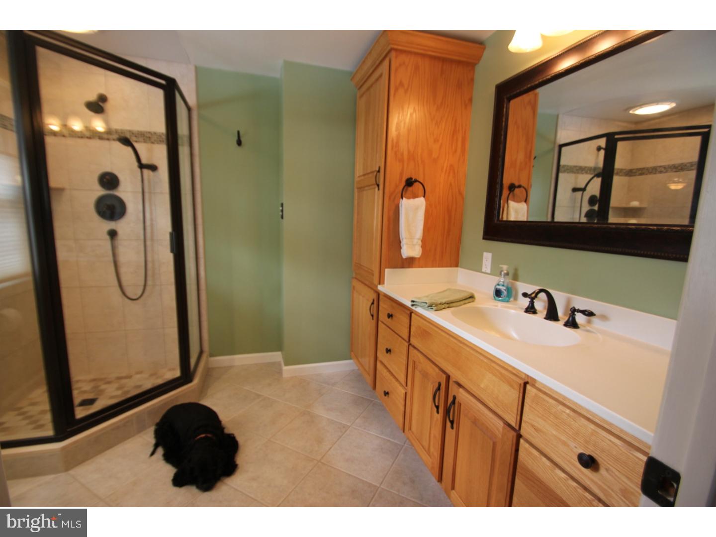 403 Walnut Hill Road West Chester, PA 19382 - Photo 13 of 21 Bathroom