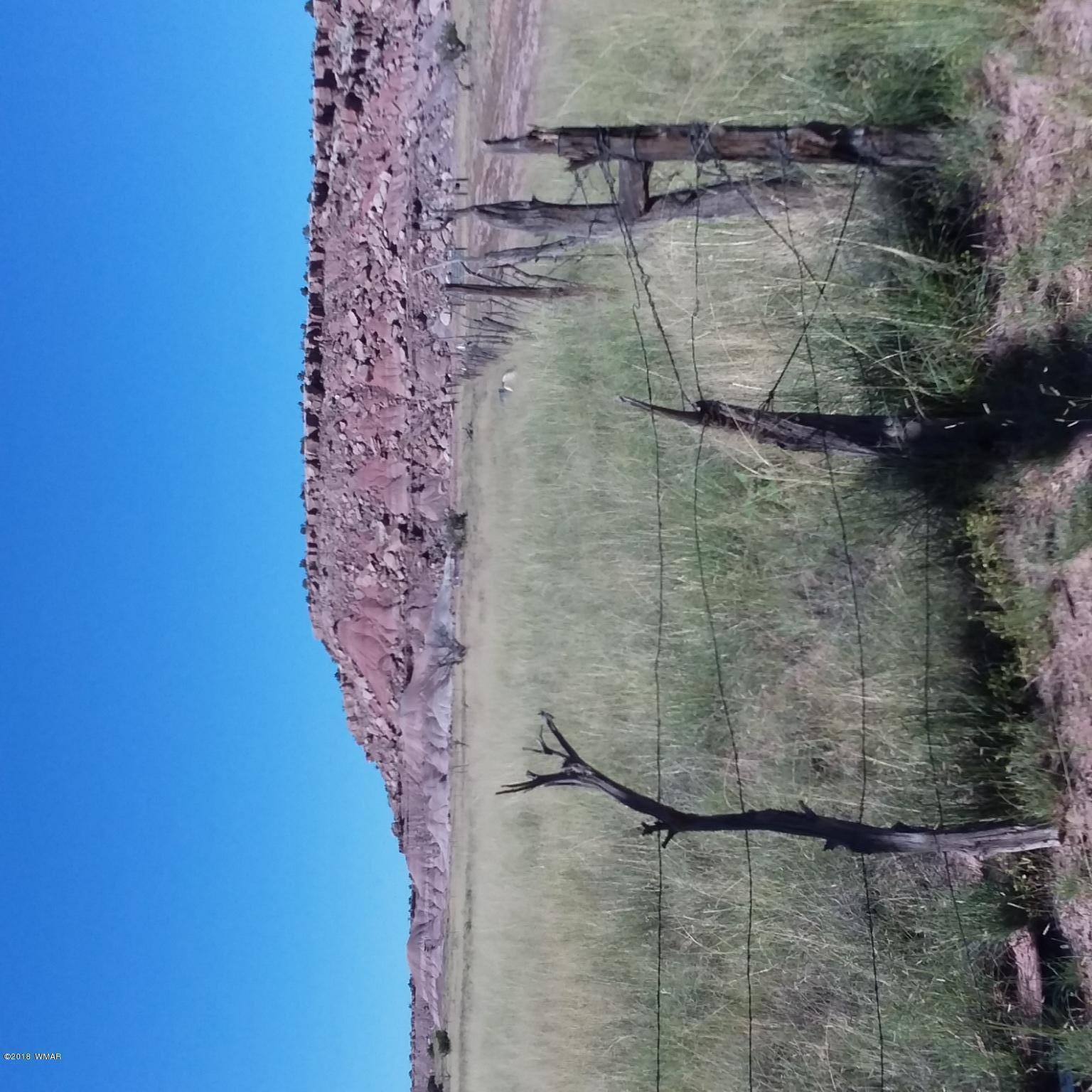 Lot 317 Carrizo Ranch St. Johns, AZ 85936 - Photo 1 of 7