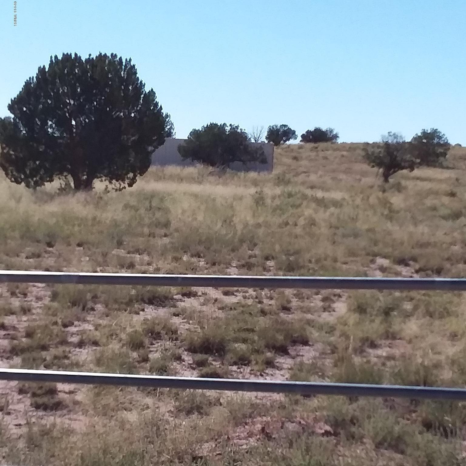 Lot 317 Carrizo Ranch St. Johns, AZ 85936 - Photo 2 of 7 a view of a house next to a yard