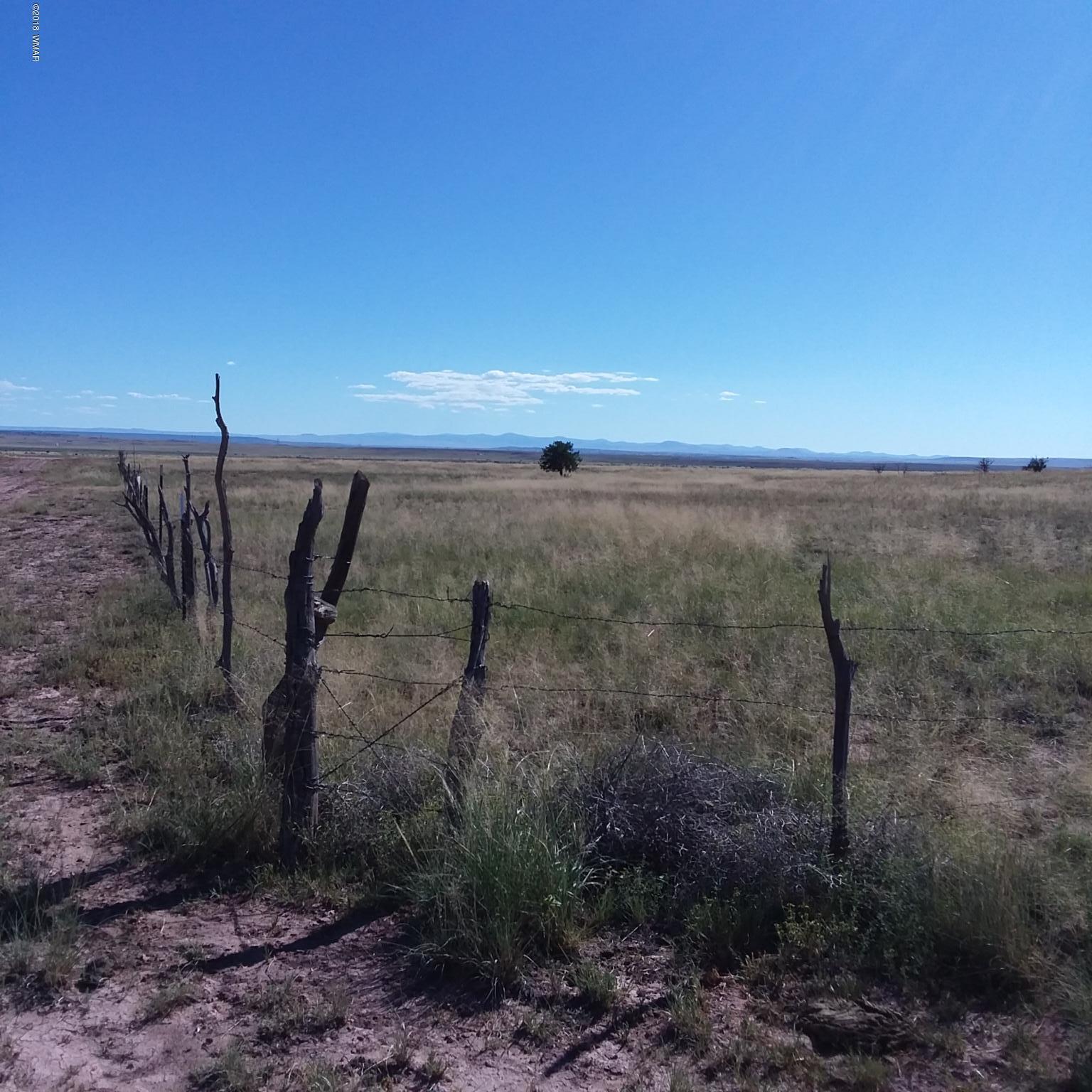 Lot 317 Carrizo Ranch St. Johns, AZ 85936 - Photo 4 of 7 a view of a dry yard with wooden fence