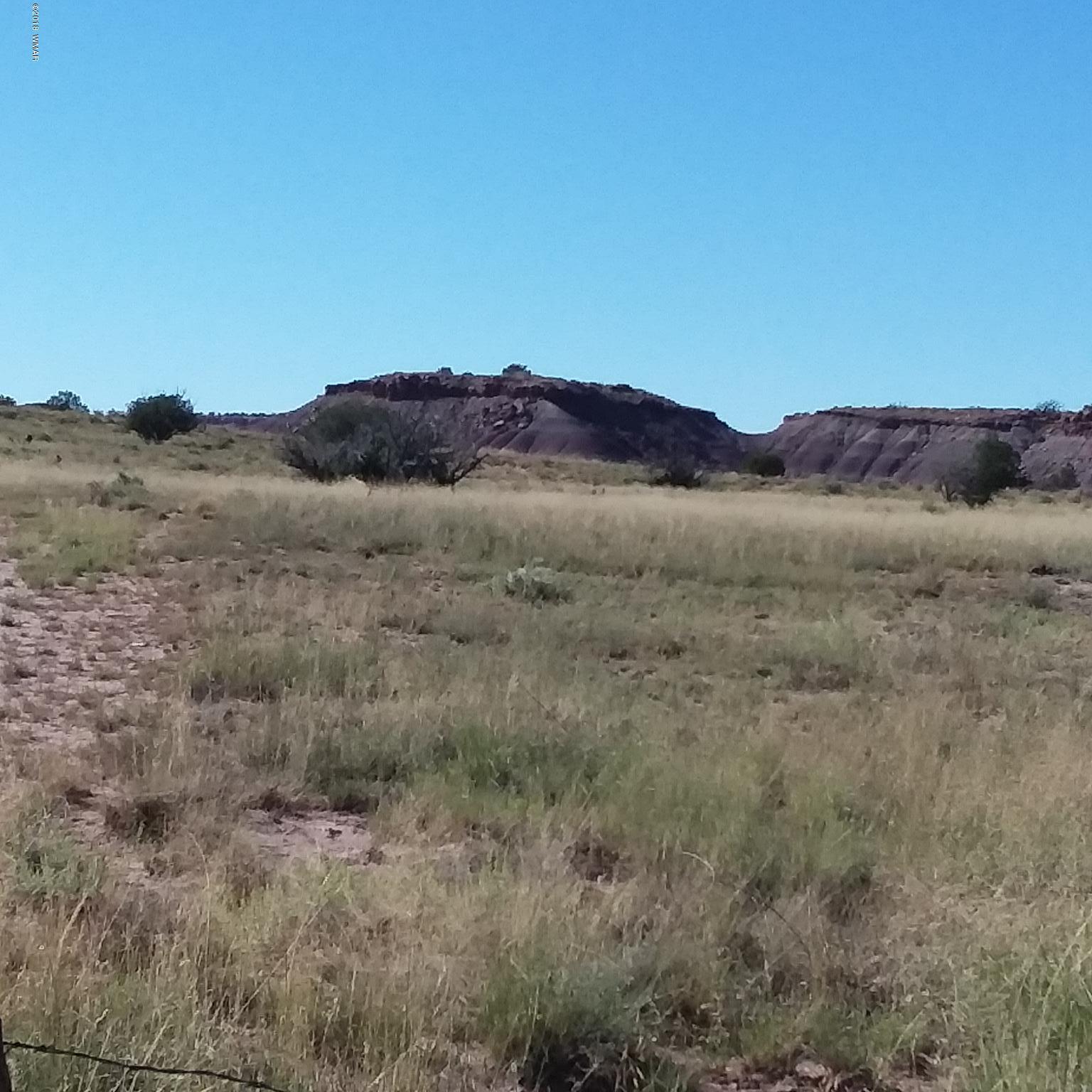 Lot 317 Carrizo Ranch St. Johns, AZ 85936 - Photo 5 of 7 a view of a mountain range with a forest